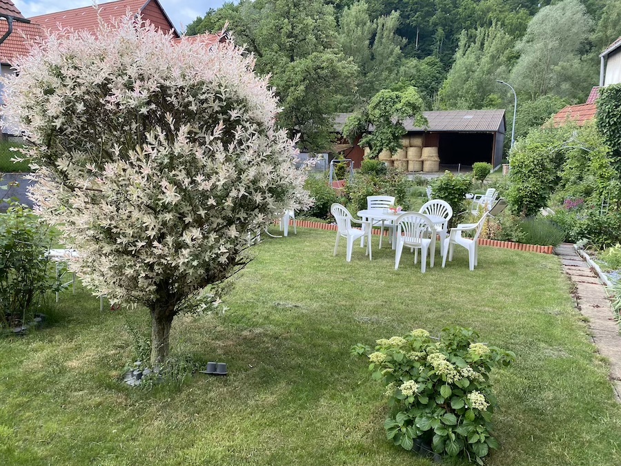 Gästehaus Birgit zum Rosengarten Breitau